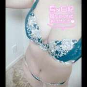 ヒメ日記 2025/01/06 16:02 投稿 あーにゃ One More奥様　横浜関内店