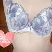 ヒメ日記 2025/07/29 06:05 投稿 あーにゃ One More奥様　横浜関内店