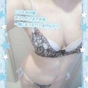 ヒメ日記 2025/10/02 07:30 投稿 あーにゃ One More奥様　横浜関内店