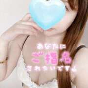 あーにゃ 次回出勤の予定です🙇‍♀️ One More奥様　横浜関内店