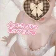 ヒメ日記 2026/07/14 05:30 投稿 あーにゃ One More奥様　横浜関内店
