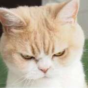 ヒメ日記 2025/03/27 21:52 投稿 ゆらの☆彼女になって！！ JKサークル