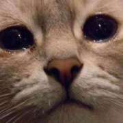 ヒメ日記 2025/06/09 16:43 投稿 ゆらの☆彼女になって！！ JKサークル