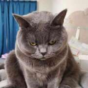 ヒメ日記 2025/06/13 15:56 投稿 ゆらの☆彼女になって！！ JKサークル