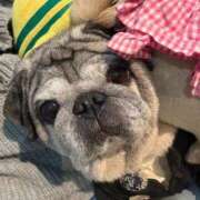 ヒメ日記 2025/06/23 22:01 投稿 ゆらの☆彼女になって！！ JKサークル