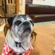 ヒメ日記 2025/06/24 22:43 投稿 ゆらの☆彼女になって！！ JKサークル