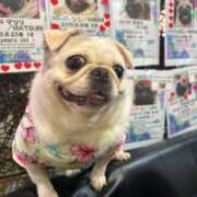 ヒメ日記 2025/06/25 21:27 投稿 ゆらの☆彼女になって！！ JKサークル