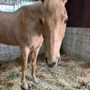 ヒメ日記 2025/06/26 21:30 投稿 ゆらの☆彼女になって！！ JKサークル