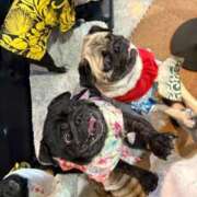 ヒメ日記 2025/06/28 23:22 投稿 ゆらの☆彼女になって！！ JKサークル