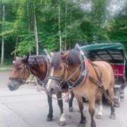 ヒメ日記 2025/07/01 12:02 投稿 ゆらの☆彼女になって！！ JKサークル