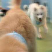 ヒメ日記 2025/07/09 21:55 投稿 ゆらの☆彼女になって！！ JKサークル