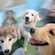 ヒメ日記 2025/07/10 18:31 投稿 ゆらの☆彼女になって！！ JKサークル