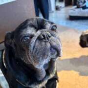 ヒメ日記 2025/07/12 21:57 投稿 ゆらの☆彼女になって！！ JKサークル