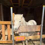 ヒメ日記 2025/07/18 22:00 投稿 ゆらの☆彼女になって！！ JKサークル