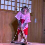 ヒメ日記 2025/07/26 17:01 投稿 ゆらの☆彼女になって！！ JKサークル