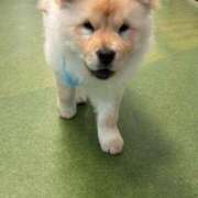 ヒメ日記 2025/07/28 15:01 投稿 ゆらの☆彼女になって！！ JKサークル