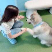 ヒメ日記 2025/08/12 23:30 投稿 ゆらの☆彼女になって！！ JKサークル