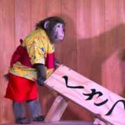 ヒメ日記 2025/08/19 23:22 投稿 ゆらの☆彼女になって！！ JKサークル