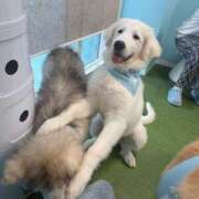 ヒメ日記 2025/08/22 23:32 投稿 ゆらの☆彼女になって！！ JKサークル