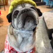 ヒメ日記 2025/08/25 17:17 投稿 ゆらの☆彼女になって！！ JKサークル