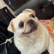 ヒメ日記 2025/08/27 23:29 投稿 ゆらの☆彼女になって！！ JKサークル