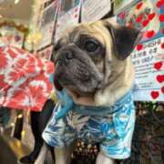 ヒメ日記 2025/08/27 23:35 投稿 ゆらの☆彼女になって！！ JKサークル