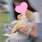 ヒメ日記 2025/09/24 16:51 投稿 ゆらの☆彼女になって！！ JKサークル