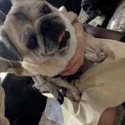 ヒメ日記 2025/09/27 23:05 投稿 ゆらの☆彼女になって！！ JKサークル