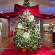 ヒメ日記 2025/12/13 04:31 投稿 ゆらの☆彼女になって！！ JKサークル