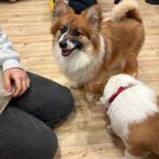 ヒメ日記 2026/01/18 18:45 投稿 ゆらの☆彼女になって！！ JKサークル