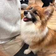 ヒメ日記 2026/01/19 05:06 投稿 ゆらの☆彼女になって！！ JKサークル