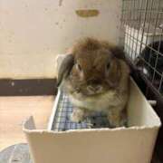 ヒメ日記 2026/02/15 16:40 投稿 ゆらの☆彼女になって！！ JKサークル