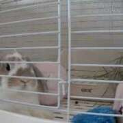 ヒメ日記 2026/03/09 10:30 投稿 ゆらの☆彼女になって！！ JKサークル