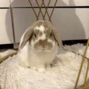 ヒメ日記 2026/03/10 01:56 投稿 ゆらの☆彼女になって！！ JKサークル