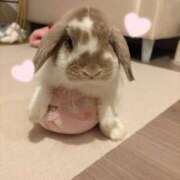 ヒメ日記 2026/03/21 23:06 投稿 ゆらの☆彼女になって！！ JKサークル