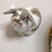 ヒメ日記 2026/03/27 22:02 投稿 ゆらの☆彼女になって！！ JKサークル