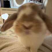 ヒメ日記 2026/03/29 04:06 投稿 ゆらの☆彼女になって！！ JKサークル