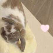 ヒメ日記 2026/04/03 21:25 投稿 ゆらの☆彼女になって！！ JKサークル