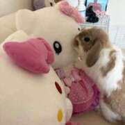 ヒメ日記 2026/05/02 11:49 投稿 ゆらの☆彼女になって！！ JKサークル