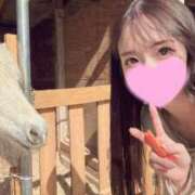 ヒメ日記 2026/05/10 04:14 投稿 ゆらの☆彼女になって！！ JKサークル