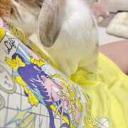 ヒメ日記 2026/07/06 03:03 投稿 ゆらの☆彼女になって！！ JKサークル