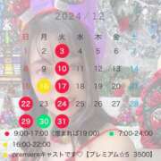 ヒメ日記 2024/12/07 07:15 投稿 こなつ 若葉