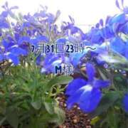 ヒメ日記 2023/08/11 18:15 投稿 はな いちごLike's