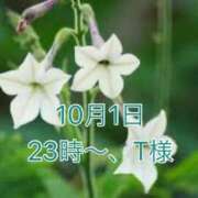 ヒメ日記 2024/10/22 20:31 投稿 はな いちごLike's