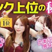 ヒメ日記 2026/02/09 19:10 投稿 まりてん BLENDA V.I.P東京店