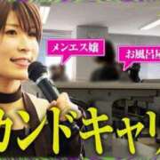 ヒメ日記 2026/04/02 20:00 投稿 まりてん BLENDA V.I.P東京店