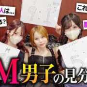 ヒメ日記 2026/07/09 19:51 投稿 まりてん BLENDA V.I.P東京店