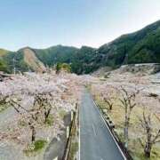 ヒメ日記 2025/04/10 00:49 投稿 ありさ 一夜妻