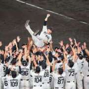 ヒメ日記 2025/09/07 23:39 投稿 ありさ 一夜妻