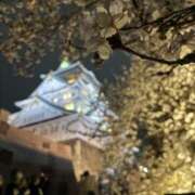 ヒメ日記 2026/04/08 09:39 投稿 ありさ 一夜妻
